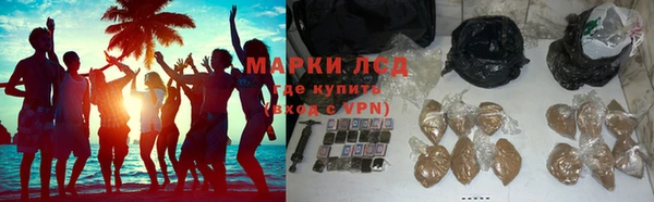 трава Туринск