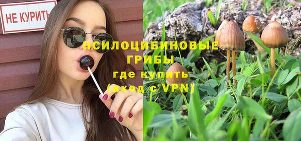 ALPHA-PVP Гусиноозёрск