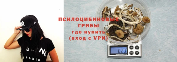 кристаллы Гусев