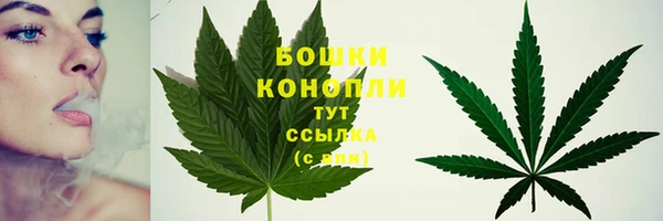 кристаллы Гусев