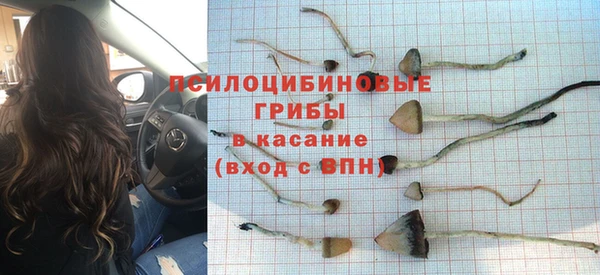 ALPHA-PVP Гусиноозёрск