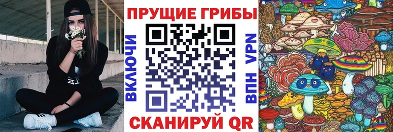 Псилоцибиновые грибы прущие грибы  закладки  Щёлкино 